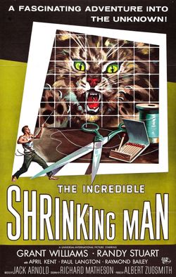 The Incredible Shrinking Man